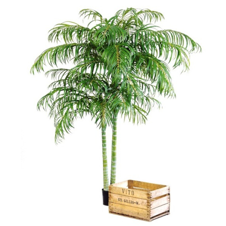 Kunstplant Areca Palmboom Deluxe 210 cm