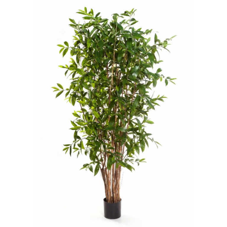 Kunstplant Dracaena Surculosa 180 cm