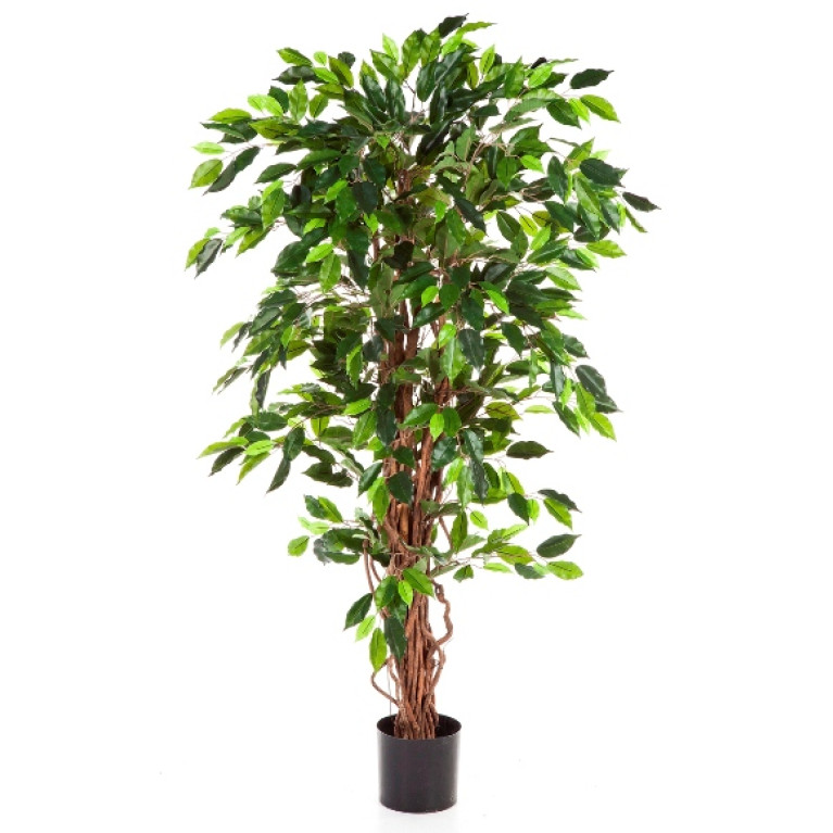 Kunstplant Ficus Liana 210 cm