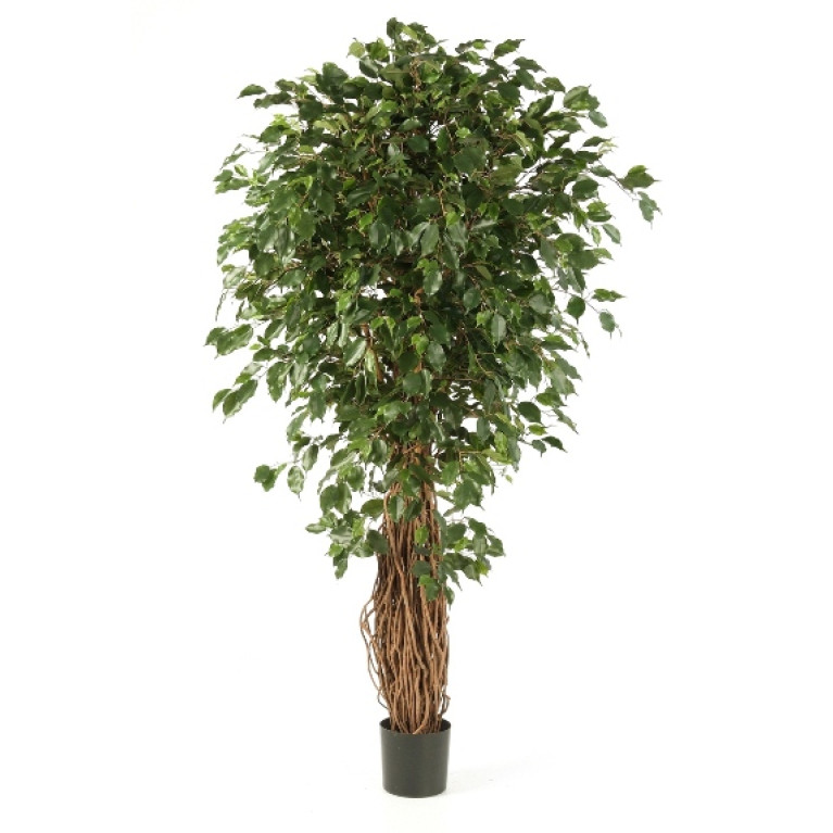 Kunstplant Ficus Liana Exotica 120 cm