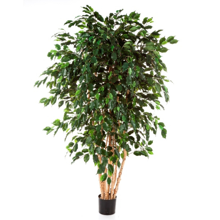 Kunstplant Ficus Multi 210 cm
