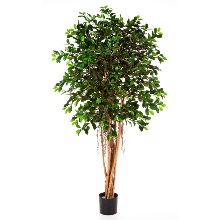 Kunstplant Ficus Retusa 210 cm