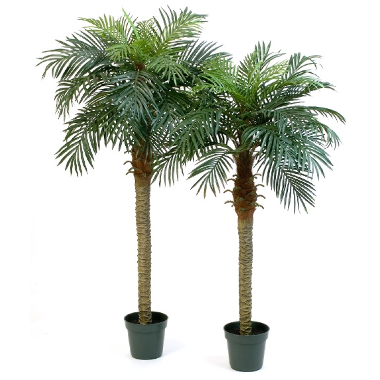 Kunstplant Phoenix Palmboom 180-150 cm