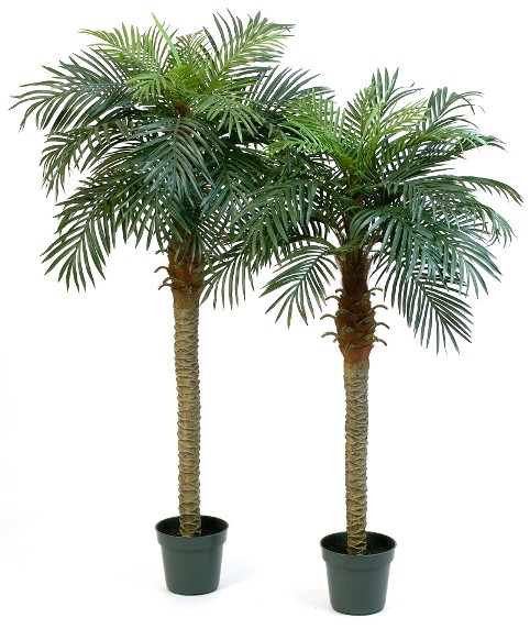 Kunstplant Phoenix Palmboom 180 cm
