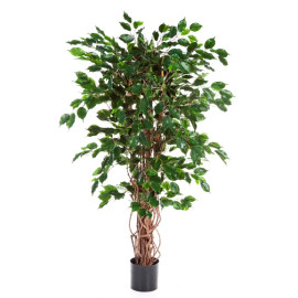 Kunstplant Ficus Exotica 210 cm