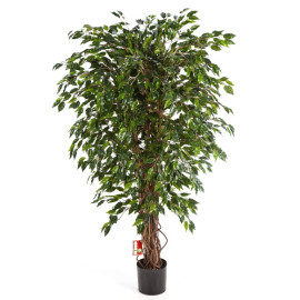 Kunstplant Ficus Hawaiian 150 cm
