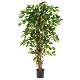 Kunstplant Ficus Liana 180 cm
