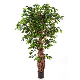 Kunstplant Ficus Liana Deluxe 180 cm