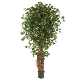 Kunstplant Ficus Liana Exotica 270 cm