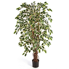 Kunstplant Ficus Liana Mixed 150 cm