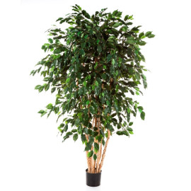 Kunstplant Ficus Multi 210 cm
