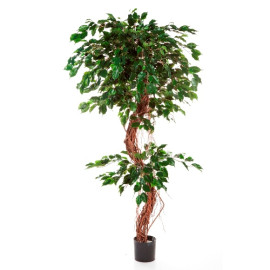 Kunstplant Ficus Twisted 180 cm