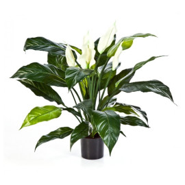 Kunstplant Lepelplant Wit met pot 75 cm