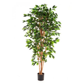 Kunstplant Ficus Nitida 120 cm