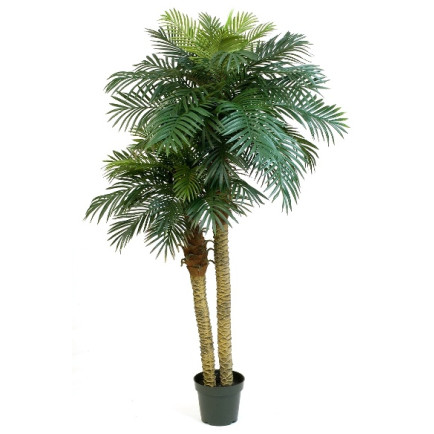 Kunstplant Phoenix Palmboom Double 210 cm