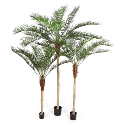 Kunstplant Phoenix Palm Plastic 180-240-210 cm